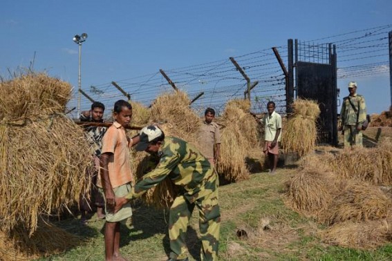 BSF jawan injured as smugglers open fire BSF jawan injured as smugglers open fire